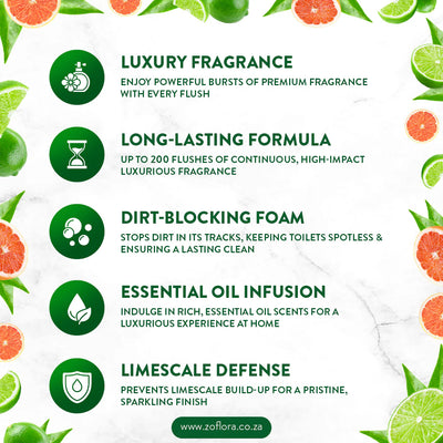 Zoflora - Rim Blocks Caribbean Grapefruit & Lime 2x48g